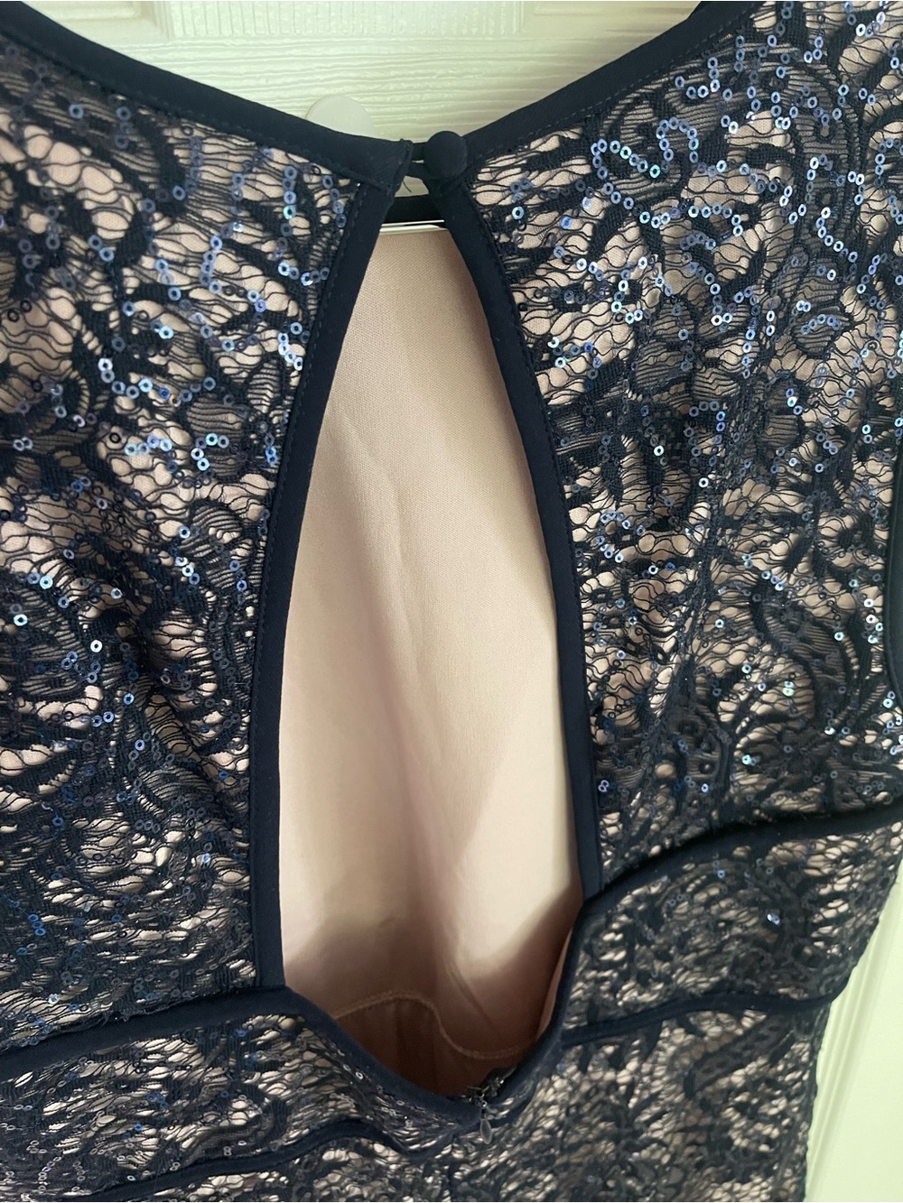 Plus Size Navy Lace Maxi Dress with Nude Lining - Picture 6 of 15